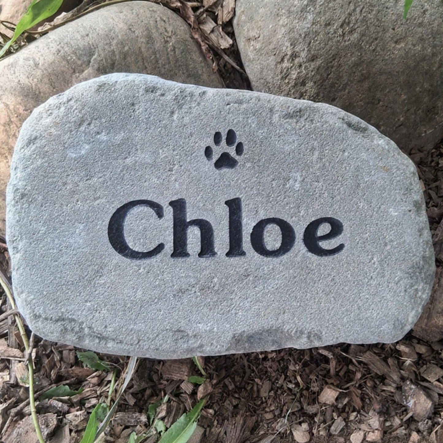 A personalized gray garden stone engraved with the name 'Chloe' and a small paw print, placed on a bed of mulch and green plants.