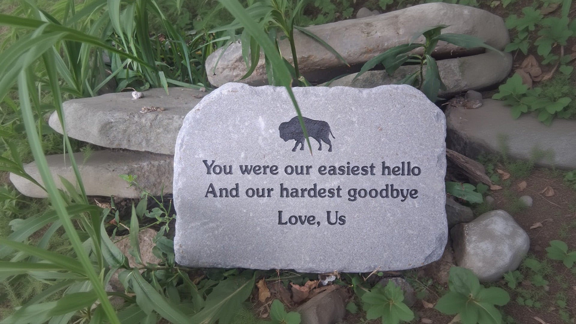 A rectangular gray stone plaque with engraved black text reading 'You were our easiest hello And our hardest goodbye Love, Us' alongside a small black silhouette of a cow, placed outdoors among green grass and rocks.